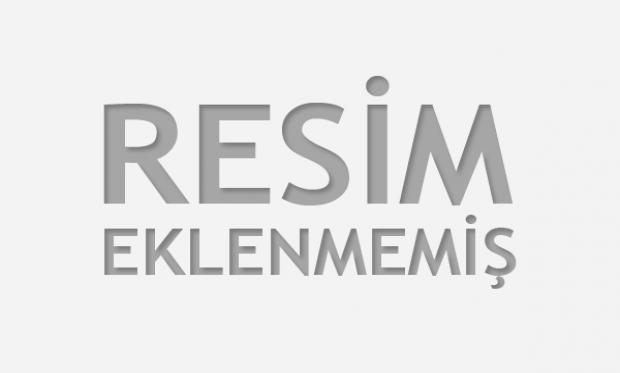 Statik Proje